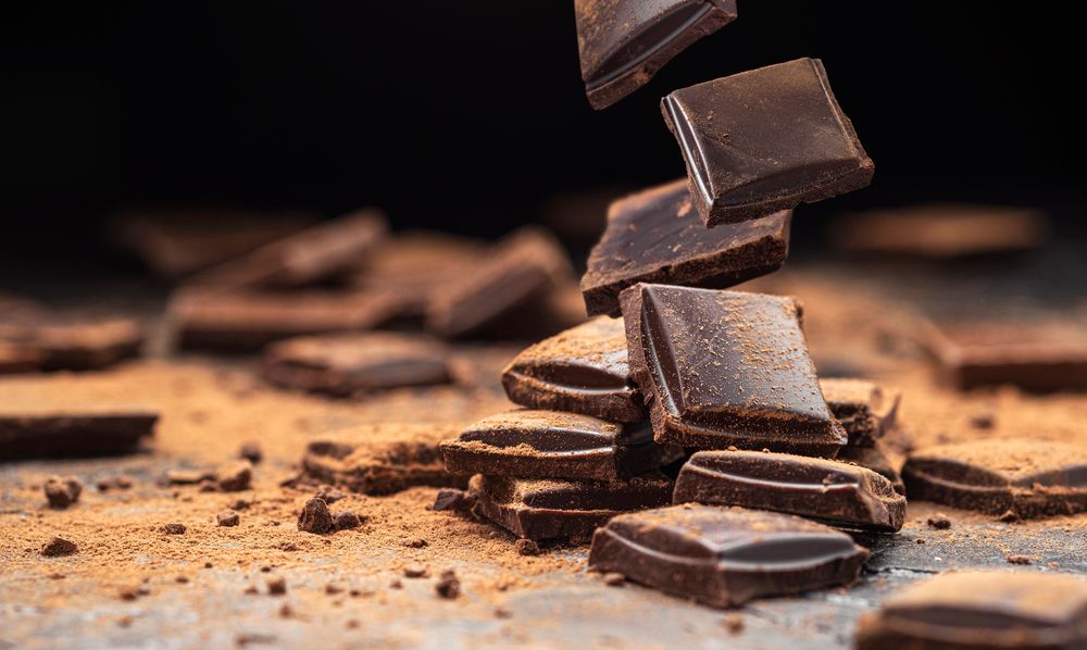 Best shroom chocolatesr Innovations: Culinary Creativity Unleashed